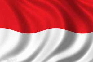 Индонезийская OSO Group 